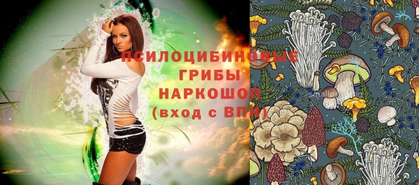 мдпв Армянск