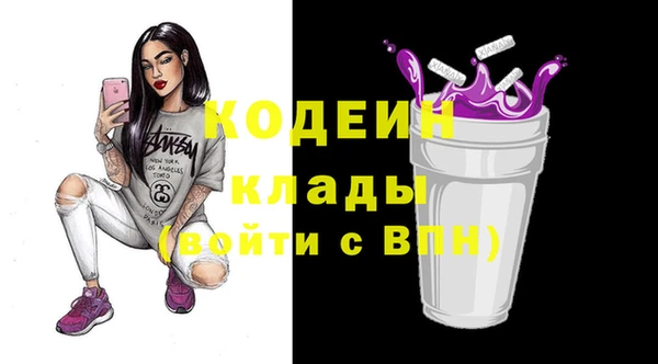тгк Арсеньев