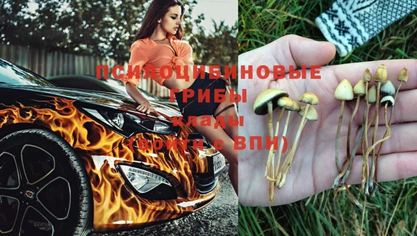 тгк Арсеньев